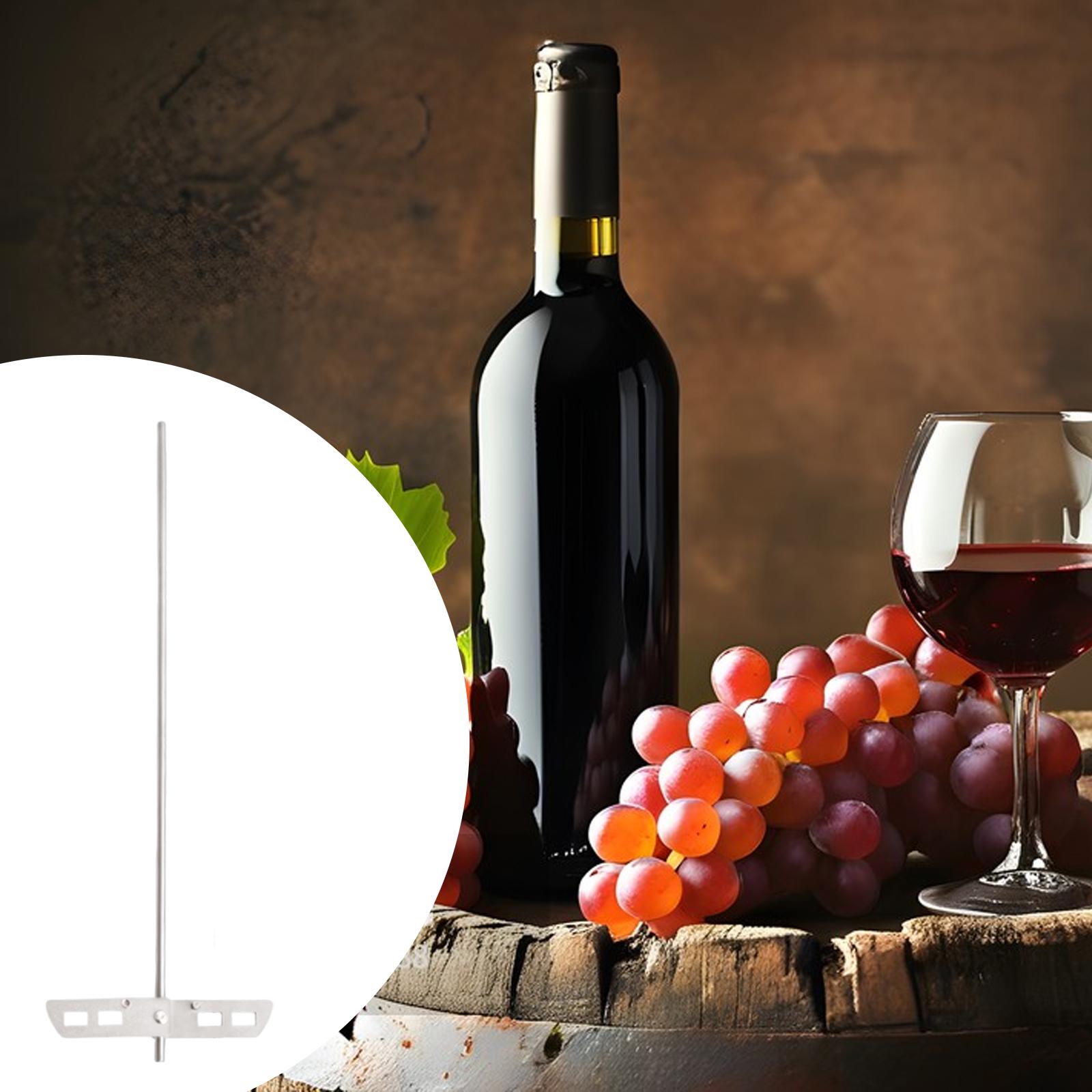 High Efficiency Degassing Whip - Wine With Beer Mix review and price